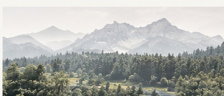 Preparation and briefing — site and context study